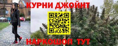 МДПВ Краснознаменск