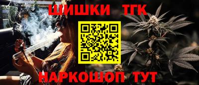МДПВ Краснознаменск