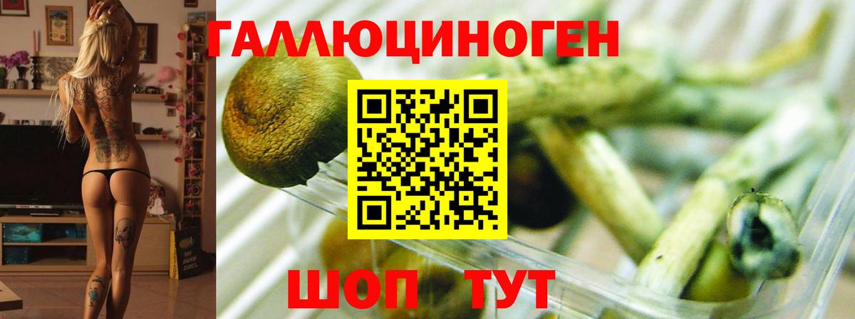 Псилоцибиновые грибы прущие грибы  Вход с VPN  Казань  магазин продажи   Галлюциногенные грибы прущие грибы 