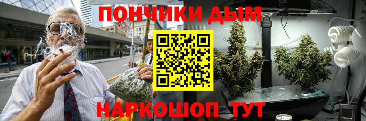 Бошки Шишки семена  Вход с VPN  Казань  Канабис SATIVA & INDICA  МАРИХУАНА SATIVA & INDICA 